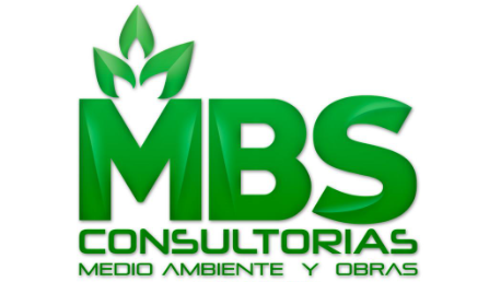 Mbs Consultorías